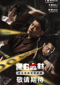 Black & White Forest thumbnail