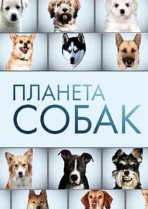 Планета собак thumbnail