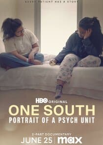 One South: Portrait of a Psych Unit thumbnail