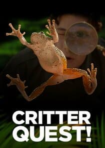 Critter Quest! thumbnail