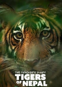 The Tracker's Diary: Tigers of Nepal thumbnail