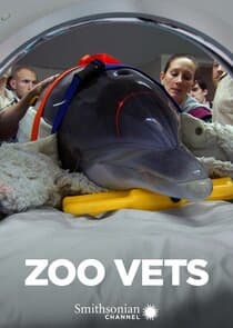 Zoo Vets thumbnail