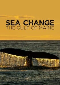 Sea Change: The Gulf of Maine, a NOVA Special Presentation thumbnail