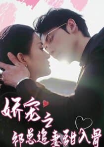娇宠之祁总追妻甜入骨 thumbnail