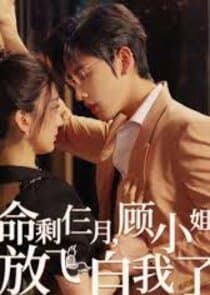 命剩仨月顾小姐放飞自我了 thumbnail