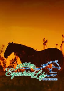 Equestrian Life in the Palm Beaches thumbnail