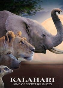 Kalahari: Land of the Secret Alliances thumbnail