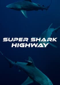 Super Shark Highway thumbnail