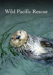 Wild Pacific Rescue thumbnail
