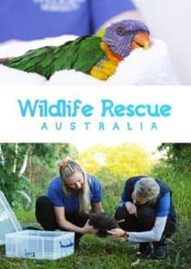 Wildlife Rescue Australia thumbnail