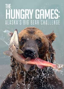 The Hungry Games: Alaska's Big Bear Challenge thumbnail