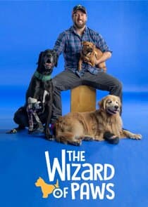 The Wizard of Paws thumbnail