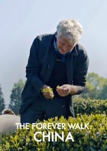 The Forever Walk: China thumbnail