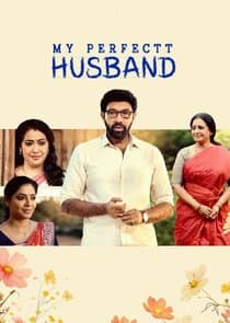 My Perfectt Husband thumbnail