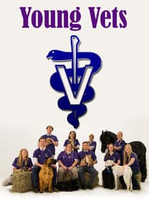 Young Vets thumbnail