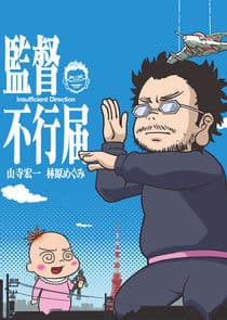 Insufficient Direction thumbnail