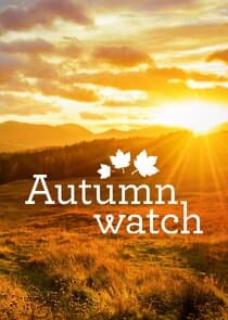 Autumnwatch thumbnail