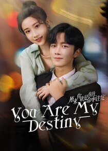 You Are My Destiny thumbnail
