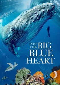 Into the Big Blue Heart thumbnail