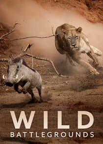 Wild Battlegrounds thumbnail