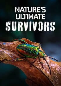 Nature's Ultimate Survivors thumbnail