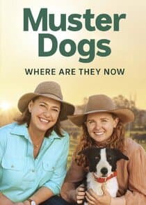 Muster Dogs: Where Are They Now? thumbnail