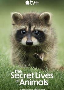 The Secret Lives of Animals thumbnail