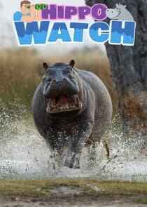 Milkshake! Hippo Watch thumbnail