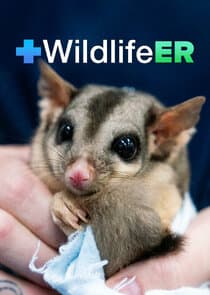 Wildlife ER thumbnail