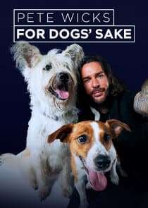 Pete Wicks: For Dogs' Sake thumbnail