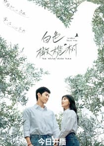 The White Olive Tree thumbnail