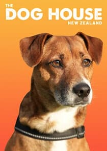 The Dog House NZ thumbnail