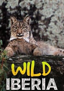 Wild Iberia thumbnail