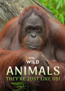 Animals, They're Just Like Us! thumbnail