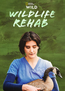 Wildlife Rehab thumbnail