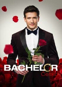 Bachelor Česko thumbnail