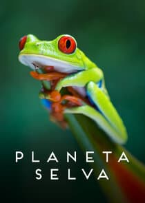 Planeta Selva thumbnail