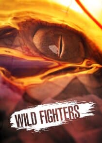 Wild Fighters thumbnail