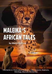 Maleika's African Tales thumbnail