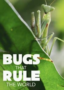 Bugs that Rule the World thumbnail