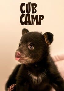 Cub Camp thumbnail