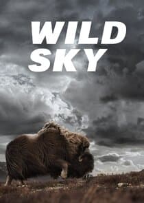 Wild Sky thumbnail