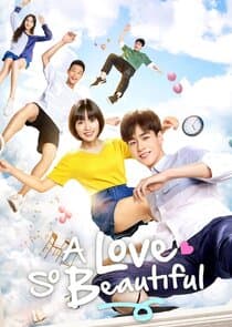 A Love So Beautiful thumbnail