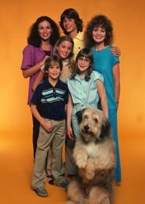 A New Kind of Family thumbnail