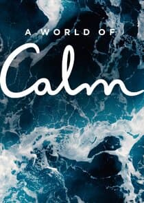 A World of Calm thumbnail