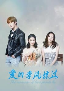 The Monsoon of Love Passes By thumbnail