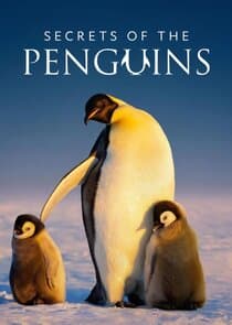 Secrets of the Penguins thumbnail