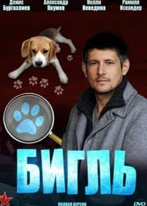Бигль thumbnail