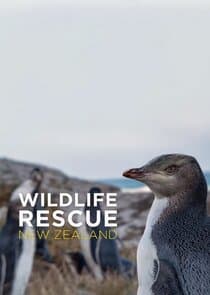 Wildlife Rescue New Zealand thumbnail
