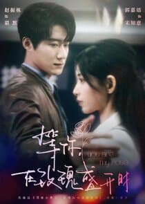 You Are My Rose thumbnail
